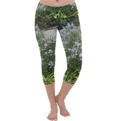 Lurie Garden Amsonia Capri Yoga Leggings by Riverwoman