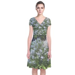 Lurie Garden Amsonia Short Sleeve Front Wrap Dress by Riverwoman