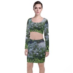 Lurie Garden Amsonia Top And Skirt Sets by Riverwoman