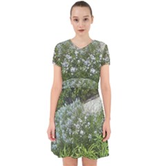 Lurie Garden Amsonia Adorable In Chiffon Dress