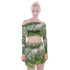 Lurie Garden Amsonia Off Shoulder Top With Mini Skirt Set by Riverwoman