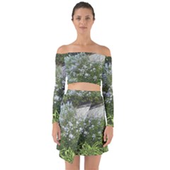 Lurie Garden Amsonia Off Shoulder Top With Skirt Set by Riverwoman