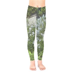 Lurie Garden Amsonia Kids  Legging by Riverwoman