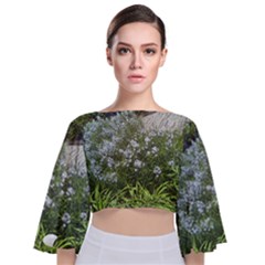 Lurie Garden Amsonia Tie Back Butterfly Sleeve Chiffon Top by Riverwoman