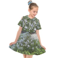 Lurie Garden Amsonia Kids  Short Sleeve Shirt Dress by Riverwoman