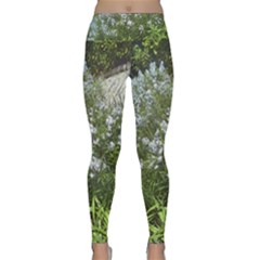 Lurie Garden Amsonia Lightweight Velour Classic Yoga Leggings by Riverwoman