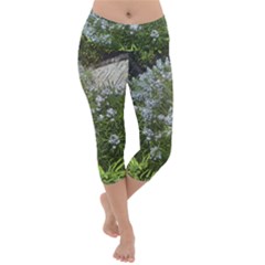 Lurie Garden Amsonia Lightweight Velour Capri Yoga Leggings by Riverwoman