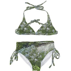 Lurie Garden Amsonia Kids  Classic Bikini Set by Riverwoman