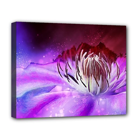 Clematis Structure Close Up Blossom Deluxe Canvas 20  X 16  (stretched) by Pakrebo