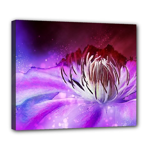 Clematis Structure Close Up Blossom Deluxe Canvas 24  X 20  (stretched) by Pakrebo