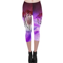 Clematis Structure Close Up Blossom Capri Leggings  by Pakrebo