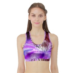 Clematis Structure Close Up Blossom Sports Bra With Border by Pakrebo