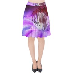 Clematis Structure Close Up Blossom Velvet High Waist Skirt by Pakrebo