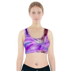 Clematis Structure Close Up Blossom Sports Bra With Pocket by Pakrebo