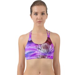 Clematis Structure Close Up Blossom Back Web Sports Bra by Pakrebo