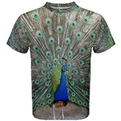 Peacock Bird Animal Feather Men s Cotton Tee by Pakrebo