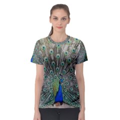 Peacock Bird Animal Feather Women s Sport Mesh Tee