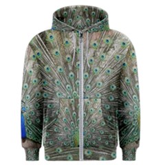 Peacock Bird Animal Feather Men s Zipper Hoodie by Pakrebo