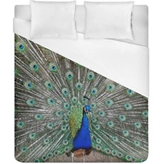 Peacock Bird Animal Feather Duvet Cover (california King Size) by Pakrebo