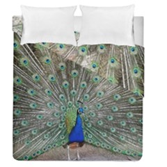 Peacock Bird Animal Feather Duvet Cover Double Side (queen Size) by Pakrebo