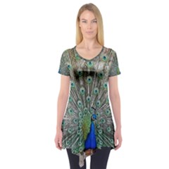 Peacock Bird Animal Feather Short Sleeve Tunic  by Pakrebo