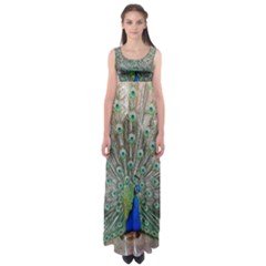 Peacock Bird Animal Feather Empire Waist Maxi Dress by Pakrebo