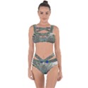 Peacock Bird Animal Feather Bandaged Up Bikini Set  View1