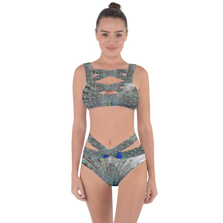 Peacock Bird Animal Feather Bandaged Up Bikini Set 