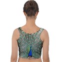 Peacock Bird Animal Feather Velvet Crop Top View2