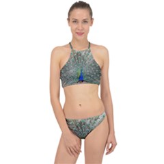 Peacock Bird Animal Feather Racer Front Bikini Set by Pakrebo