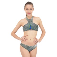 Peacock Bird Animal Feather High Neck Bikini Set