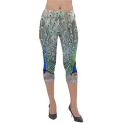 Peacock Bird Animal Feather Lightweight Velour Capri Leggings 