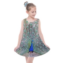 Peacock Bird Animal Feather Kids  Summer Dress by Pakrebo