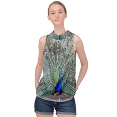 Peacock Bird Animal Feather High Neck Satin Top