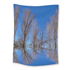 Background Mirror Reflection Medium Tapestry by Pakrebo