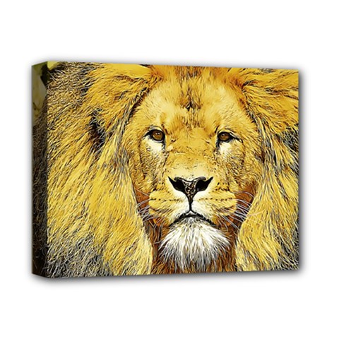 Lion Lioness Wildlife Hunter Deluxe Canvas 14  X 11  (stretched) by Pakrebo