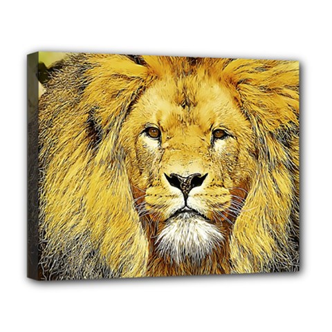 Lion Lioness Wildlife Hunter Deluxe Canvas 20  X 16  (stretched) by Pakrebo