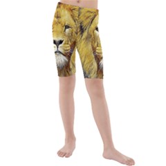 Lion Lioness Wildlife Hunter Kids  Mid Length Swim Shorts by Pakrebo