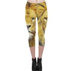 Lion Lioness Wildlife Hunter Capri Leggings  by Pakrebo