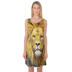 Lion Lioness Wildlife Hunter Sleeveless Satin Nightdress by Pakrebo