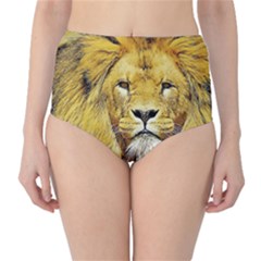 Lion Lioness Wildlife Hunter Classic High-waist Bikini Bottoms by Pakrebo