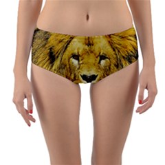 Lion Lioness Wildlife Hunter Reversible Mid-waist Bikini Bottoms by Pakrebo