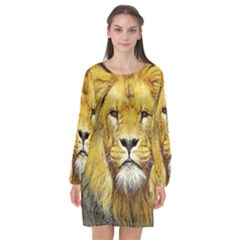 Lion Lioness Wildlife Hunter Long Sleeve Chiffon Shift Dress  by Pakrebo