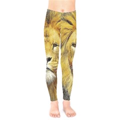 Lion Lioness Wildlife Hunter Kids  Legging by Pakrebo