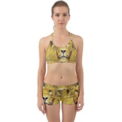 Lion Lioness Wildlife Hunter Back Web Gym Set by Pakrebo