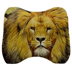 Lion Lioness Wildlife Hunter Velour Head Support Cushion by Pakrebo