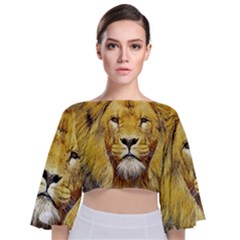 Lion Lioness Wildlife Hunter Tie Back Butterfly Sleeve Chiffon Top by Pakrebo