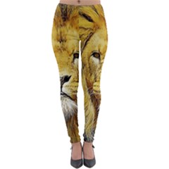 Lion Lioness Wildlife Hunter Lightweight Velour Leggings by Pakrebo