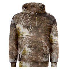 Sea Eagle Raptor Nature Predator Men s Pullover Hoodie by Pakrebo