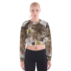 Sea Eagle Raptor Nature Predator Cropped Sweatshirt by Pakrebo